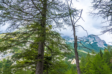 Scenic view of Alpine landscape in Triglav National Park. Julian alps, Triglav, Slovenia