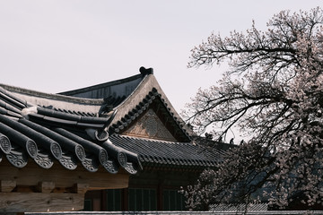 Kyeongbokgung Palace (Main Royal Palace of Joseon Dynasty) and its architectural patterns