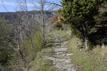 Path of Novalesa in the nature