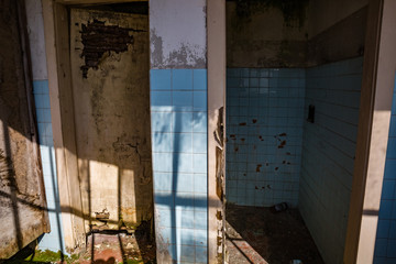 Cityscape. View of abandoned factory building: broken ceramic tiles, broken door with peeling paint, green moss on the floor