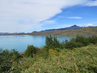 Fototapeta na wymiar Torres del Paine, Patagonia, Chile: Forest and mountain view at lake Sköttsberg