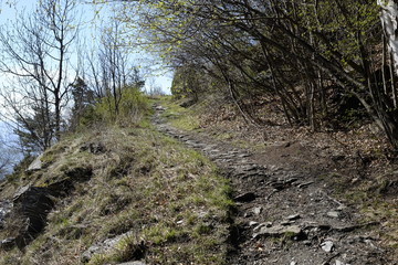 Path of Novalesa in the nature