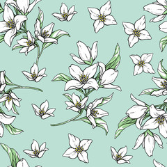 Vector handwork illustration. Drawing of blooming white jasmine with green leaves. Seamless pattern with jasmines for textiles design.