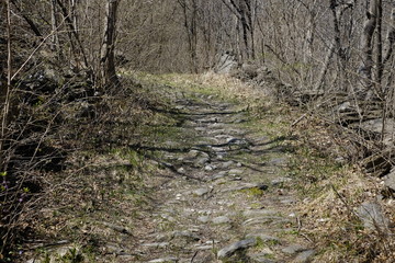 Path of Novalesa in the nature