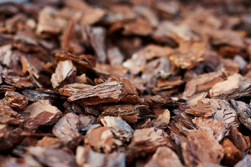 The texture of the pine bark of large and medium fractions