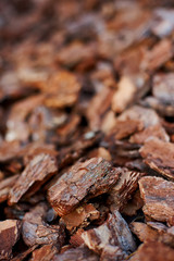 The texture of the pine bark of large and medium fractions