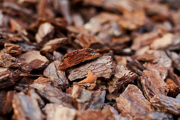 The texture of the pine bark of large and medium fractions
