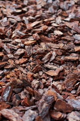 The texture of the pine bark of large and medium fractions