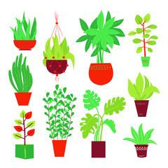 Potted plants collection. House plants. Hand drawn vector art. Set of  vector house indoor plant