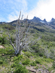Fototapeta na wymiar Torres del Paine, Patagonia, Chile: Cerro Paine Grande