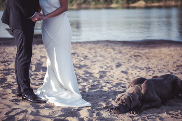 Young married couple with dog standing and holding hands, wedding day.
