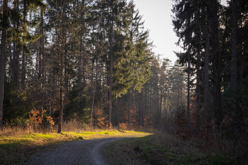 Landschaft im Frühling
