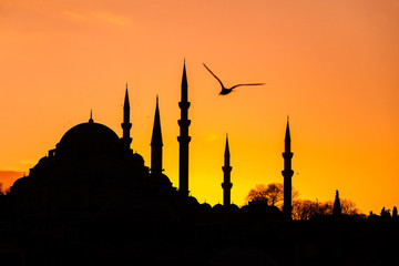 mosque in istanbul