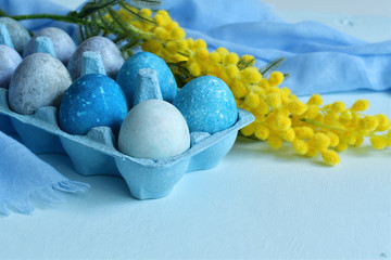 Easter background with blue eggs and yellow fluffy mimosa. Happy Easter Spring Festive greeting card. Naturally Eggs painted with hibiscus with marble stone effect. copy space