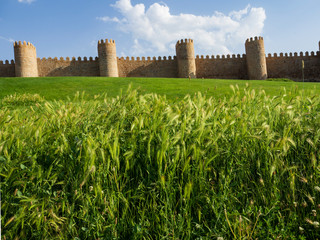 Las murallas medievales de Avila detrás de un seto de plantas verdes