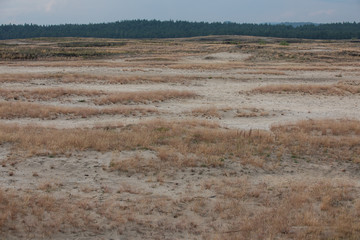 Bledow Desert  area of sands on the Silesia Highlands