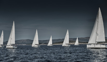 Fototapeta premium Sailboats compete in a sailing regatta at sunset, sailing race, reflection of sails on water, white color of sails, boat number aft boats