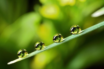 Gentle reflection in the water droplets macro photo