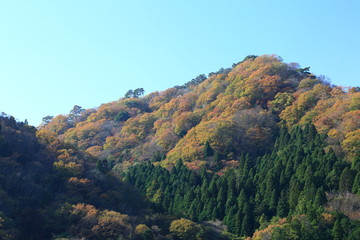 Beautiful colored leaves in Hananuki Gorge, Ibaraki JAPAN