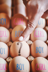 Hand points to egg. Gender or Sex selection