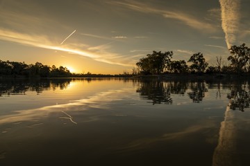 Murray River Eucalyptus trees and Pelicans during the beautiful sunset