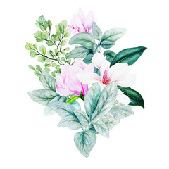 Magnolia and leaves, bright watercolor bouquet, hand drawn