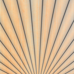 textured wood wall background