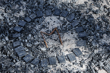 Norse rune Ehwaz on ashes backgorund inside the circle of 24 Norse runes