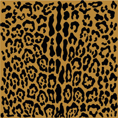 Leopard pattern design, vector illustration background. Animal design. Brown, orange, yellow