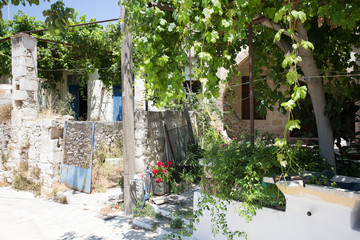 Fototapeta na wymiar Greek houses and yards on Crete