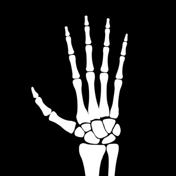 The skeletal hand in black background. Illustration.