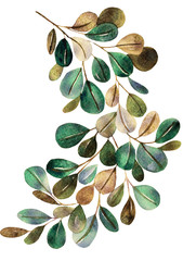Watercolor illustration of tropical leaves, for wedding cards, romantic prints, fabrics, textiles and scrapbooking.