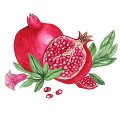 Watercolor illustrations of pomegranate for wedding cards, romantic prints, fabrics, textiles and scrapbooking. - 335381052