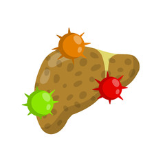 Bad liver. Attack germs and cirrhosis of the liver. Health problem. Medical Disease of human internal organ