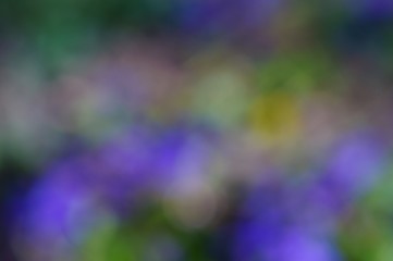 abstract colorful background