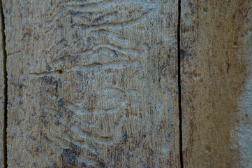 old wood texture