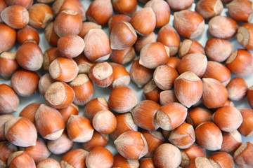 hazelnuts on a wooden background