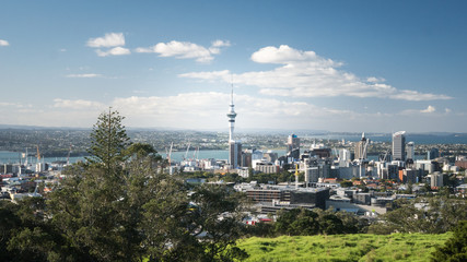 Obraz premium View on Auckland downtown and Skytower for Mount Eden lookout above city, New Zealand, North Island