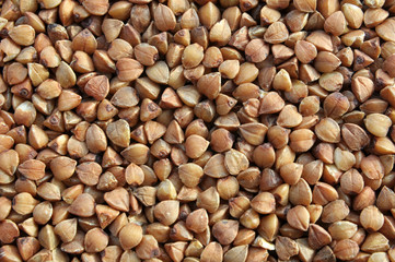 Background of dried buckwheat.
