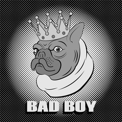 French Bulldog portrait in crown like a king. 