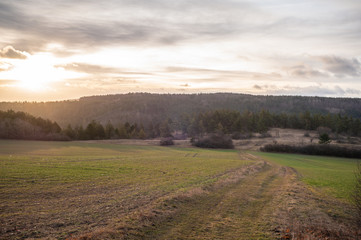 Landschaft im Frühling