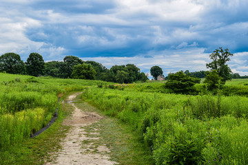 Fototapeta na wymiar Green Meadow with Trail Leading to Farm House