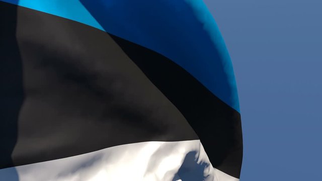 The national flag of Estonia flutters in the wind against the sky