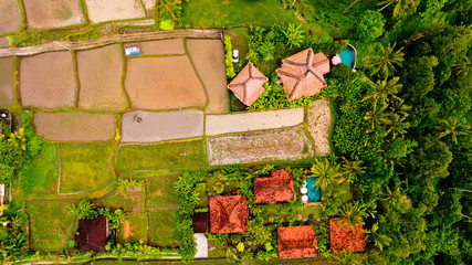 Aerial view terraces filled with water and ready for planting rice. Bali, Indonesia.