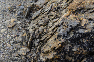 Colourful rocks in east Greenland close up. Rock texture.