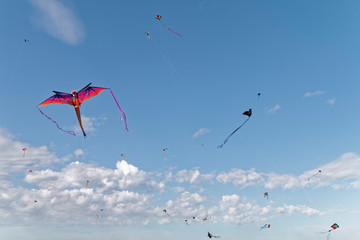 Flying kites.