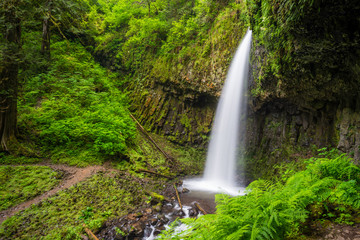 Upper Latourell Falls