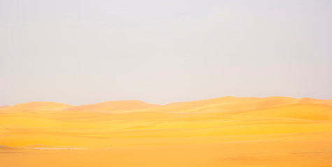 desert sand, beautiful sand desert landscape after raining - Image