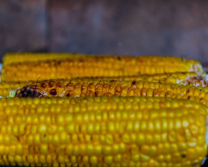 Grilling sweet fresh corn on charcoal.