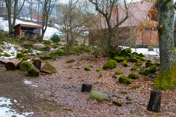 "Rock Garden" near a rural house in the Carpathian Mountains.